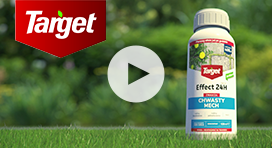 Agencja interaktywna NumOrder wygrała przetarg na opracowanie i realizację kampanii zintegrowanej dla Target S.A., producenta naturalnych środków do pielęgnacji roślin.